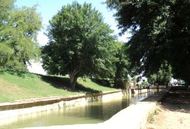 DSC01231
