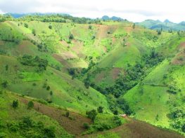 Mini Adventure Kalaw Trekking