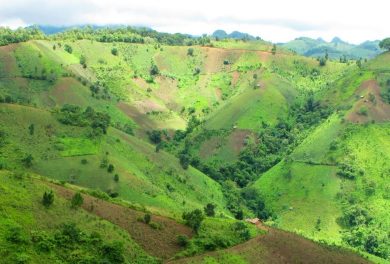 kalaw-banner