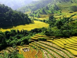 Yangon-Inle – Keng Tung