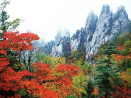 Yangon – Hanoi – Korea